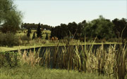 One of the many ponds inland