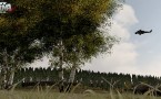 ARMA 2 ingame screenshot